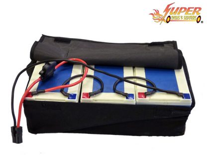 36v-12ah Deep Cell-Battery Pack with Bag