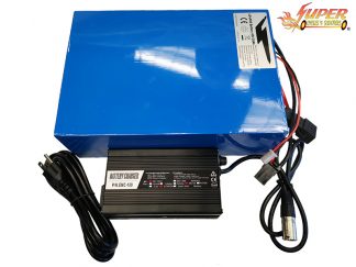 48v 20ah LifePo4 11in Battery W. Charger Blue