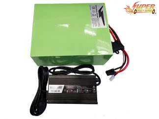 48v 20ah LifePo4 11in Battery W. Charger Green
