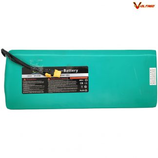 VT-5 48v 20AH Lithium Battery